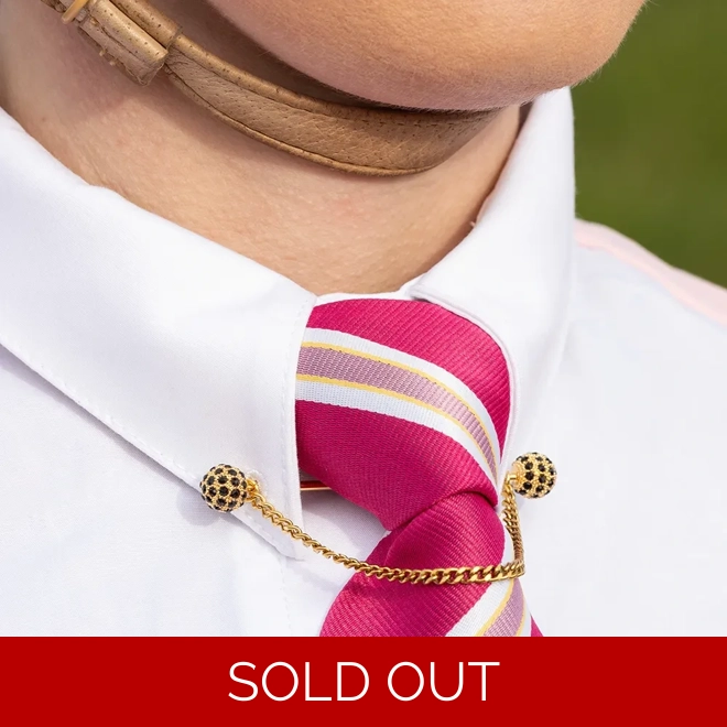 product Image for Supreme Products Glitz & Glam Collar Pin - Gold/Black